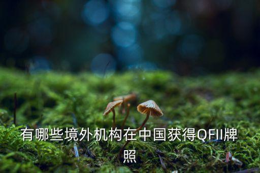 韓國投資金融控股公司,金融控股公司設(shè)立的現(xiàn)實(shí)意義