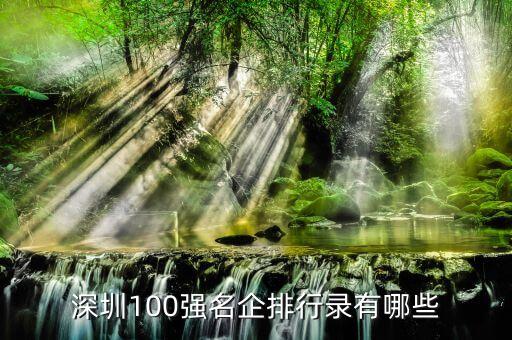 深圳100強名企排行錄有哪些