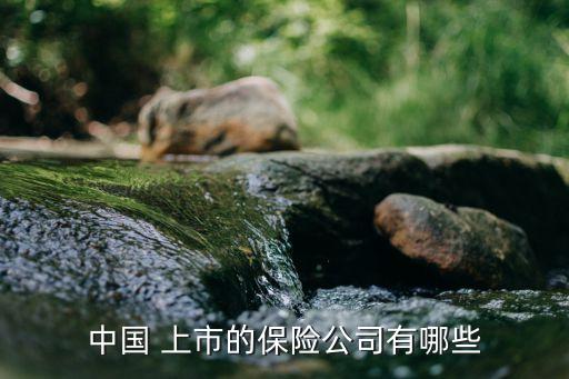 中國 上市的保險(xiǎn)公司有哪些