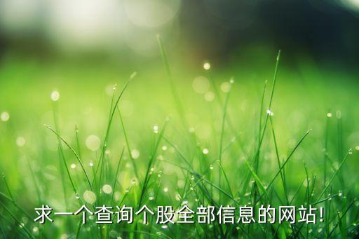 求一個(gè)查詢(xún)個(gè)股全部信息的網(wǎng)站!