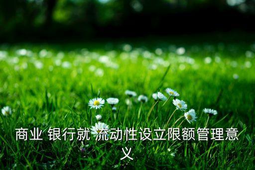 銀行流動性風(fēng)險(xiǎn)偏好