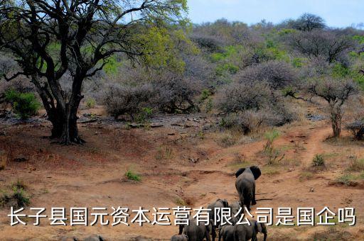 長子縣國元資本運營有限公司是國企嗎