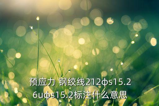  預應力 鋼絞線212φs15.2 6uφs15.2標注什么意思