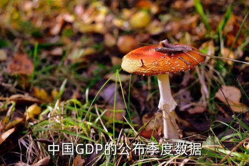 中國GDP的公布季度數(shù)據(jù)