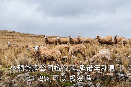 投資18%的回報可能嗎