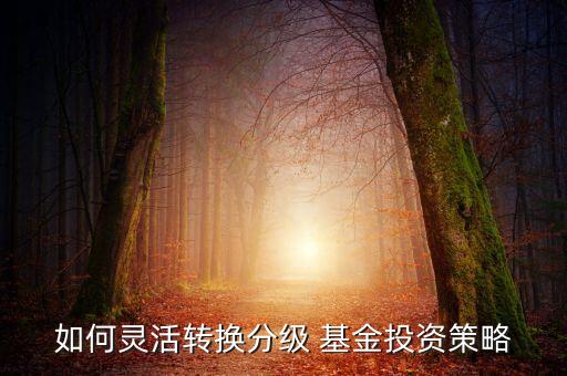 如何靈活轉(zhuǎn)換分級 基金投資策略