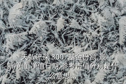  天弘滬深 300, 基金份額,最新凈值,凈值日期,參考市值分別是什么意思...