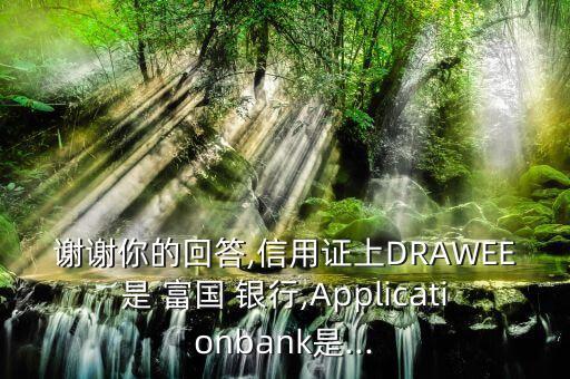 謝謝你的回答,信用證上DRAWEE是 富國 銀行,Applicationbank是...