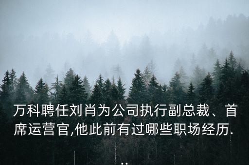  萬科聘任劉肖為公司執(zhí)行副總裁、首席運營官,他此前有過哪些職場經(jīng)歷...