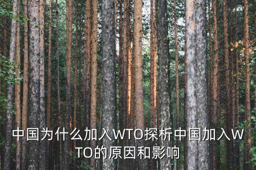 中國為什么加入WTO探析中國加入WTO的原因和影響