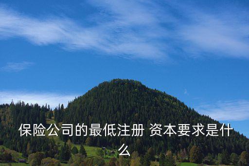  保險(xiǎn)公司的最低注冊(cè) 資本要求是什么