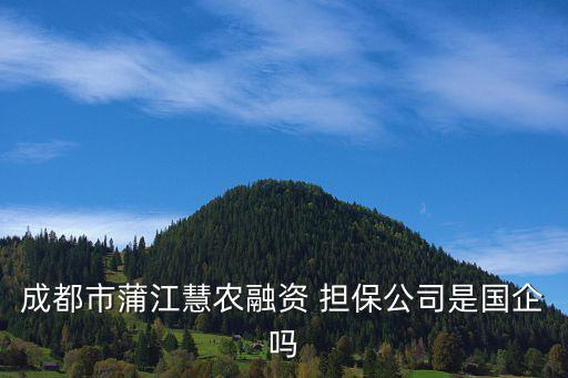 中菲擔保有限公司,上海市住房置業(yè)擔保有限公司