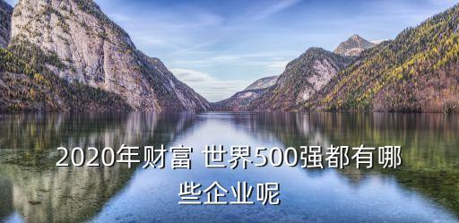 2020年財富 世界500強都有哪些企業(yè)呢