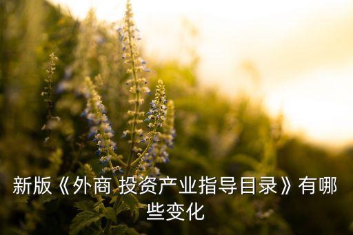 新版《外商 投資產(chǎn)業(yè)指導(dǎo)目錄》有哪些變化