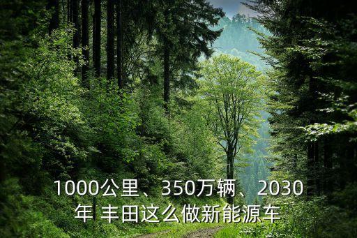 1000公里、350萬輛、2030年 豐田這么做新能源車