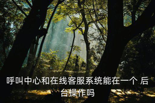 呼叫中心和在線客服系統(tǒng)能在一個 后臺操作嗎