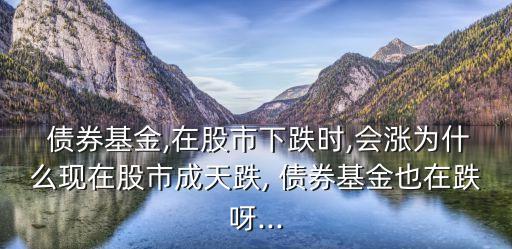  債券基金,在股市下跌時(shí),會(huì)漲為什么現(xiàn)在股市成天跌, 債券基金也在跌呀...