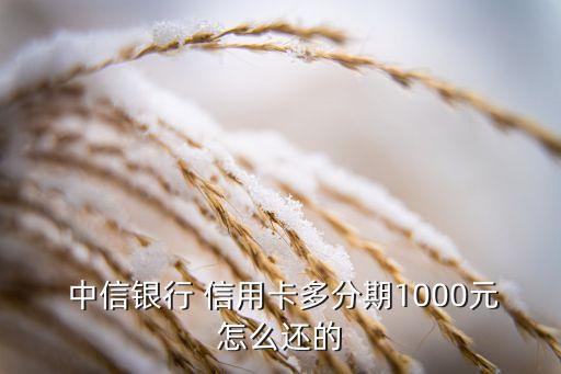  中信銀行 信用卡多分期1000元怎么還的