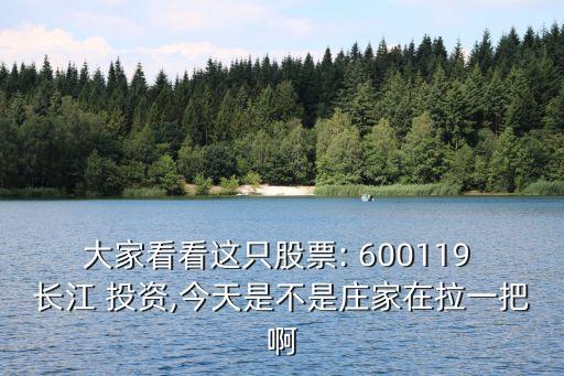 大家看看這只股票: 600119 長(zhǎng)江 投資,今天是不是莊家在拉一把啊