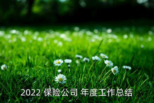 2022 保險公司 年度工作總結(jié)