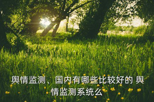  輿情監(jiān)測、國內(nèi)有哪些比較好的 輿情監(jiān)測系統(tǒng)么