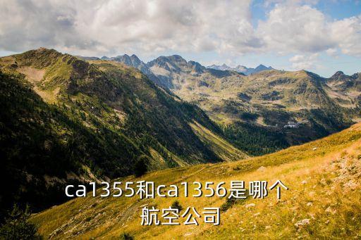 ca1355和ca1356是哪個 航空公司