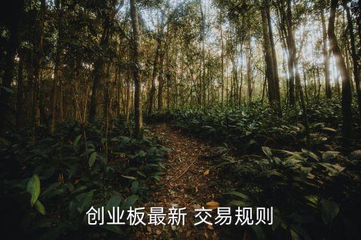 創(chuàng)業(yè)板最新 交易規(guī)則