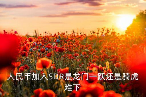 人民幣加入SDR是龍門一躍還是騎虎難下