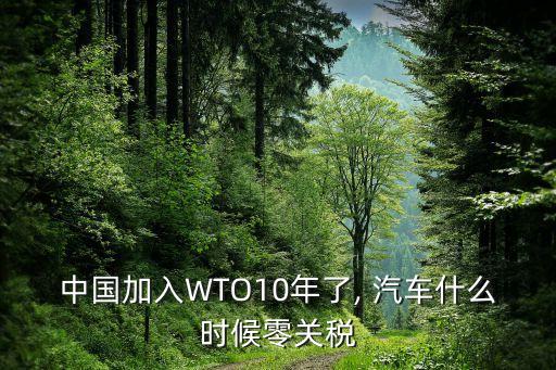 中國(guó)世貿(mào)保護(hù)期汽車,世貿(mào)20年保護(hù)期