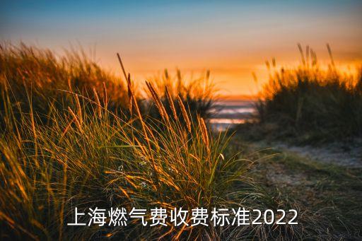  上海燃?xì)赓M(fèi)收費(fèi)標(biāo)準(zhǔn)2022