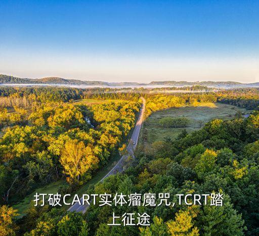 打破CART實(shí)體瘤魔咒,TCRT踏上征途