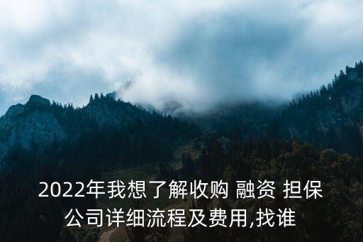 2022年我想了解收購 融資 擔(dān)保公司詳細(xì)流程及費用,找誰