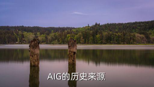 AIG的歷史來(lái)源