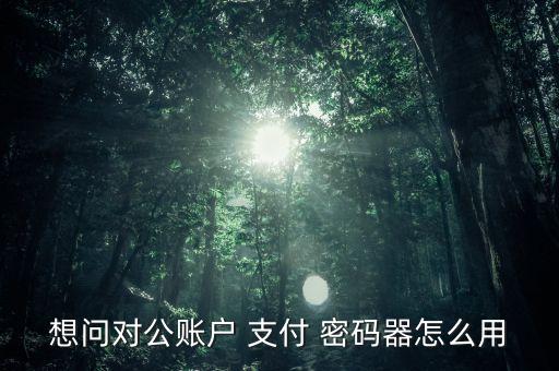 想問(wèn)對(duì)公賬戶 支付 密碼器怎么用