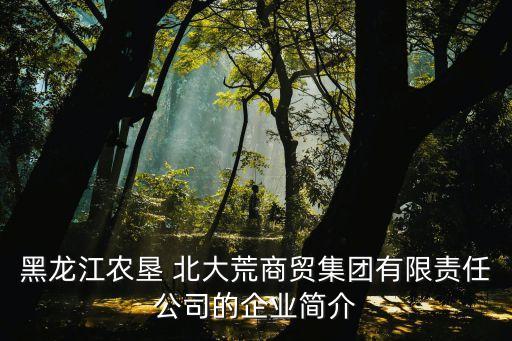 黑龍江農(nóng)墾 北大荒商貿(mào)集團有限責任公司的企業(yè)簡介