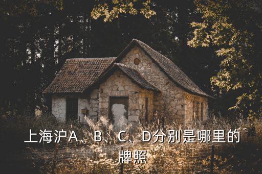  上海滬A、B、C、D分別是哪里的 牌照