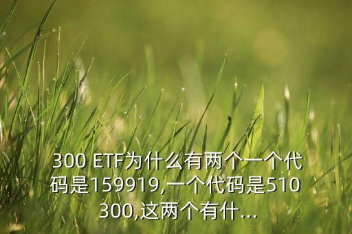 嘉實(shí)滬深300中國(guó)A股ETF,000176嘉實(shí)滬深300