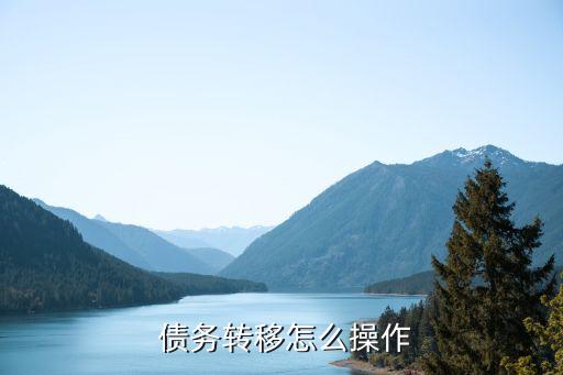  債務(wù)轉(zhuǎn)移怎么操作