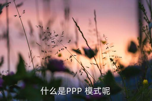 什么是PPP 模式呢