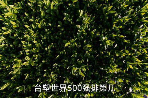  臺塑世界500強排第幾