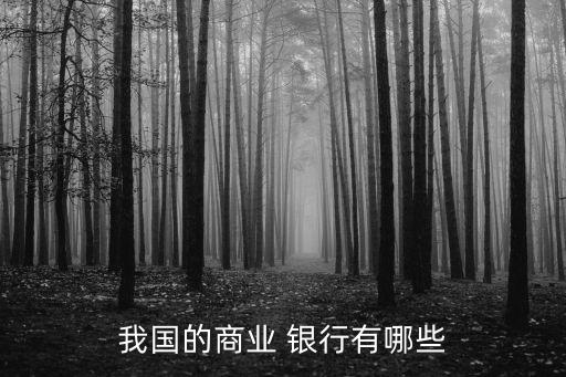 我國的商業(yè) 銀行有哪些