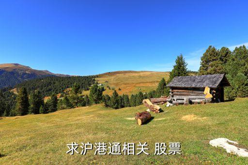 申洲針織股票,申洲股票02313