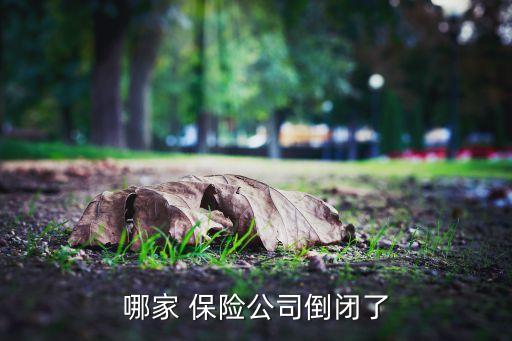 哪家 保險(xiǎn)公司倒閉了