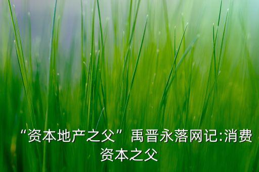 “資本地產之父”禹晉永落網(wǎng)記:消費資本之父