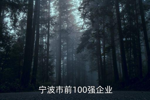  寧波市前100強(qiáng)企業(yè)