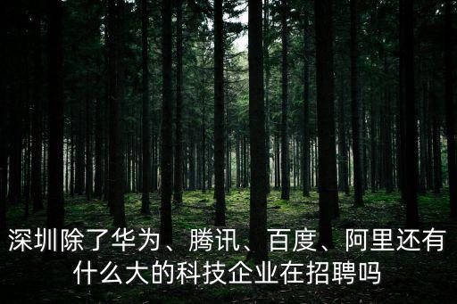 深圳除了華為、騰訊、百度、阿里還有什么大的科技企業(yè)在招聘嗎