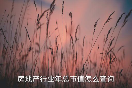 房地產行業(yè)年總市值怎么查詢