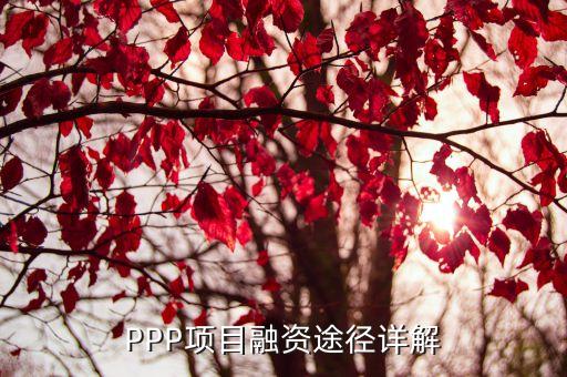 ppp股權(quán)投資分為幾個階段