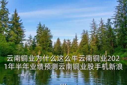 云南銅業(yè)為什么這么牛云南銅業(yè)2021年半年業(yè)績預測云南銅業(yè)股手機新浪...