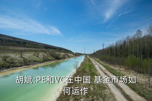 胡斌:PE和VC在中國 基金市場如何運作